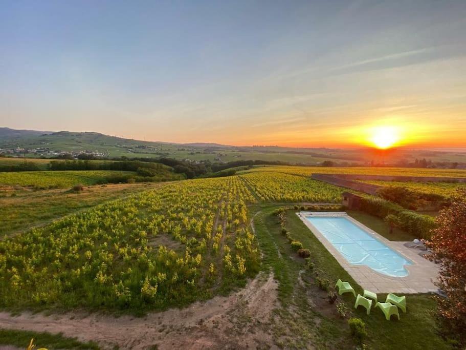 Апартаменти Au Coeur Des Vignes Chenas Du Beaujolais La Chapelle-de-Guinchay Екстер'єр фото