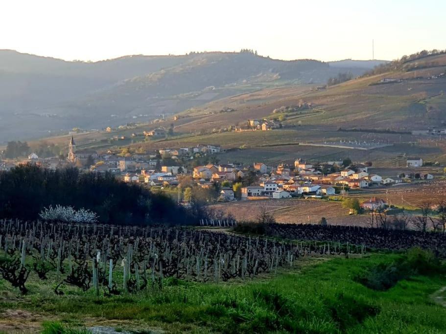 Апартаменти Au Coeur Des Vignes Chenas Du Beaujolais La Chapelle-de-Guinchay Екстер'єр фото